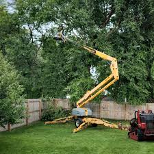 Best Tree Disease Treatment  in Fairfield, AL
