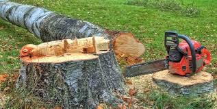 Best Tree and Shrub Care  in Fairfield, AL
