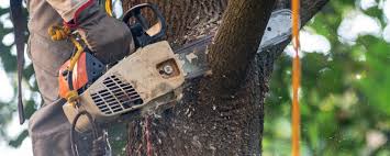 Soil Testing and Treatment in Fairfield, AL
