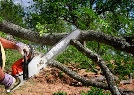 Best Lot and Land Clearing  in Fairfield, AL